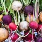 what vegetables to plant in September