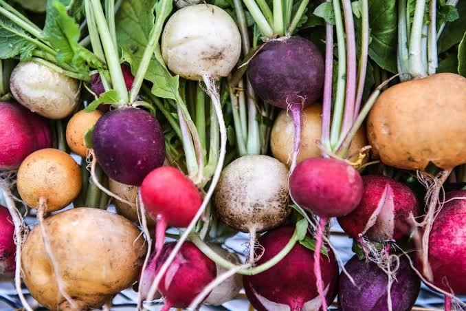 what vegetables to plant in September