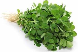 How to Grow Methi in Pots at Home 