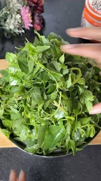 how to grow bathua in pots in india