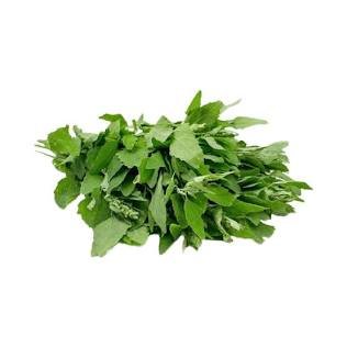 how to grow bathua in pots in india