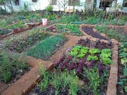 kitchen garden calendar Kolkata