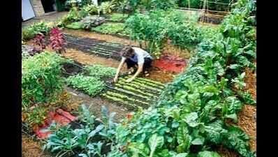 kitchen garden calendar Kolkata