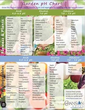 Soil pH for Vegetables in India