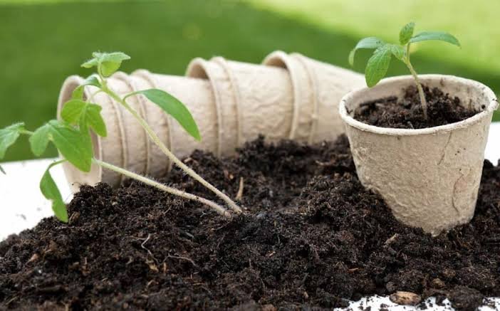 Soil pH for Vegetables in India