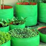 grow bag size chart for Indian vegetables