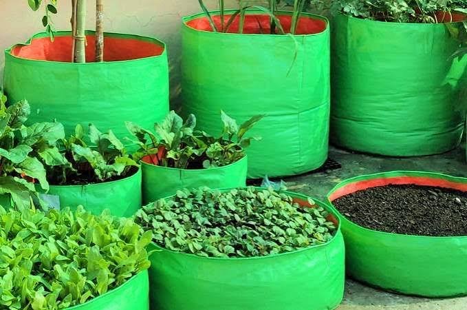 grow bag size chart for Indian vegetables