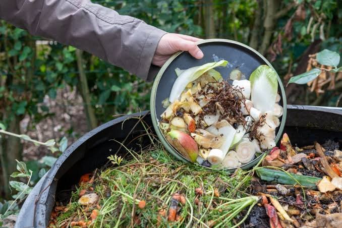 kitchen waste composting without smell