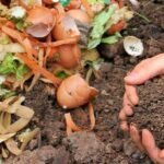kitchen waste composting without smell guide