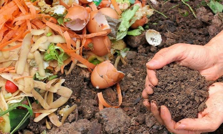 kitchen waste composting without smell guide