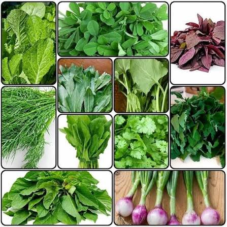 native Indian leafy vegetables list