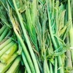 native Indian leafy vegetables list
